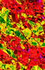 Multicolored Abstract PosterPrint