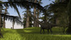 Mamenchisaurus walking through swampy water Poster Print - Item # VARPSTKVA600620P