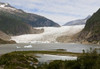 View Of Mendenhall Glacier And Lake And Trail Leading To Overlook, Juneau, Southeast Alaska, Summer. PosterPrint - Item # VARDPI2331952