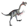 Gigantoraptor dinosaur, white background Poster Print - Item # VARPSTEDV600058P