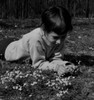 Girl picking flowers in field Poster Print - Item # VARSAL255424941