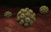 Conceptual image of polyomavirus Poster Print - Item # VARPSTSTK700783H