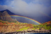 Hawaii, Kauai, Napali Coast, Rainbow Over The Coastline PosterPrint - Item # VARDPI1994483