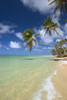 Hawaii, Palm Trees Leaning Over Beach, Dramatic Sky, Warm Turquoise Ocean PosterPrint - Item # VARDPI1996316