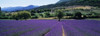 http://c328301.r1.cf1.rackcdn.com/PPI92190S.jpg