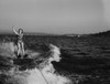 Woman waterskiing Poster Print - Item # VARSAL255419377