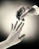 Close-up of a man's hand placing a ring on a woman's finger Poster Print - Item # VARSAL2552946