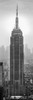 Empire State Building in a city, Manhattan, New York City, New York State, USA Poster Print - Item # VARPPI169360