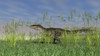 Monolophosaurus walking through tall grass Poster Print - Item # VARPSTKVA600039P