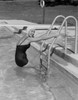 Young woman going out from swimming pool and looking at camera Poster Print - Item # VARSAL255422152