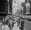 USA  New York City  Manhattan  Pedestrian traffic on Fifth Avenue Poster Print - Item # VARSAL255424298