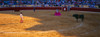 http://c328301.r1.cf1.rackcdn.com/PPI150827L.jpg