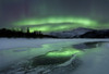 Reflected aurora over a frozen Laksa Lake, Nordland, Norway Poster Print - Item # VARPSTAHE100108S