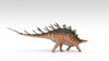 Kentrosaurus dinosaur, white background Poster Print - Item # VARPSTKVA600744P