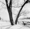 Niagara River in winter Poster Print - Item # VARSAL255423912