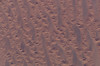 December 11, 2004 - The Sahara desert Poster Print - Item # VARPSTSTK202600S