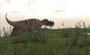 Ceratosaurus hunting in prehistoric grasslands Poster Print - Item # VARPSTKVA600309P