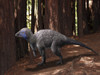 Kulindadromeus is a neornithischian from the Jurassic period of Siberia Poster Print - Item # VARPSTNBT100196P