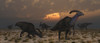 A herd of Parasaurolophus hadrosaur dinosaurs at dawn, during Earth's Cretaceous period Poster Print - Item # VARPSTMAS600072P