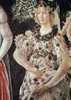 La Primavera Ca. 1481 Sandro Botticelli Tempera On Wood Galleria degli Uffizi  Florence  Italy Poster Print - Item # VARSAL3815399918