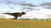 Tyrannosaurus Rex in a grassy field Poster Print - Item # VARPSTKVA600573P