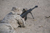 January 7, 2010 - A U.S. Marine zeros his M107 sniper rifle at Range 113 at Camp Wilson, California Poster Print - Item # VARPSTSTK104397M