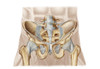 Anatomy of human pelvic bone and ligaments Poster Print - Item # VARPSTSTK700551H