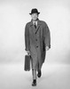 Studio portrait of businessman carrying briefcase Poster Print - Item # VARSAL25548131