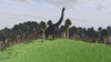 Large Brachiosaurus in an open field Poster Print - Item # VARPSTKVA600380P
