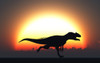 A silhouetted Allosaurus sprinting against a setting Sun at the end of another Jurassic day. Poster Print - Item # VARPSTMAS100244P