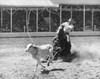 Cowboy lassoing calf in rodeo Poster Print - Item # VARSAL2556071B