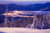 Winter Snow, Cascade Range, Oregon, Usa PosterPrint - Item # VARDPI1830891