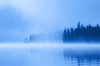 Foggy Lake PosterPrint - Item # VARDPI1801602