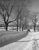 USA  New Hampshire  Lancaster  snowy rural road with plow and distant barn Poster Print - Item # VARSAL255422790