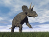 Nedoceratops dinosaur grazing in grassy field Poster Print - Item # VARPSTEDV600101P