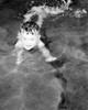 Boy swimming Poster Print - Item # VARSAL255424449