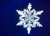 Snowflake Poster Print by Panoramic Images (16 x 12) - Item # PPI125125