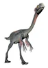 Gigantoraptor dinosaur, white background Poster Print - Item # VARPSTEDV600060P