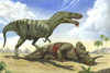 A Gorgosaurus libratus stands over the dead body of a Centrosaurus Poster Print - Item # VARPSTSKR100112P