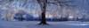http://c328301.r1.cf1.rackcdn.com/PPI45216S.jpg