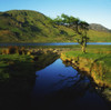 Co Galway, Kylemore Lough, Benbaun Mountain Connemara PosterPrint - Item # VARDPI1808841