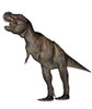 Aggressive Tyrannosaurus Rex growling, white background Poster Print - Item # VARPSTEDV600076P