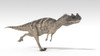 Ceratosaurus dinosaur, white background Poster Print