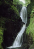 Glenariff Falls, Glens Of Antrim, Co Antrim, Ireland; Flowing Waterfall PosterPrint - Item # VARDPI1843596