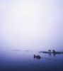 Connemara, Co Galway, Ireland, Lough Corrib PosterPrint - Item # VARDPI1809158