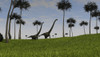 Two Mamenchisaurus walking across a grassy field Poster Print - Item # VARPSTKVA600613P