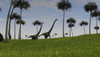 Two Mamenchisaurus walking across a grassy field Poster Print