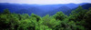 Smoky Mountain National Park, Tennessee Poster Print by Panoramic Images (8 x 10) - Item # MINPPI22777