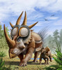 A Rubeosaurus and his offspring roam a prehistoric environment Poster Print - Item # VARPSTMHA600023P