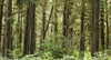 http://c328301.r1.cf1.rackcdn.com/PPI138409L.jpg